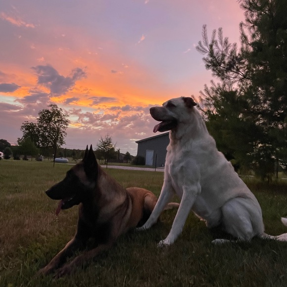 Meet your Posher, Lisa - Picture 5 of 11